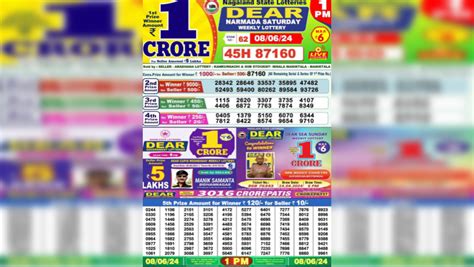 Nagaland Lottery Sambad 8 Pm LIVE Results Today: Dear Sandpiper .